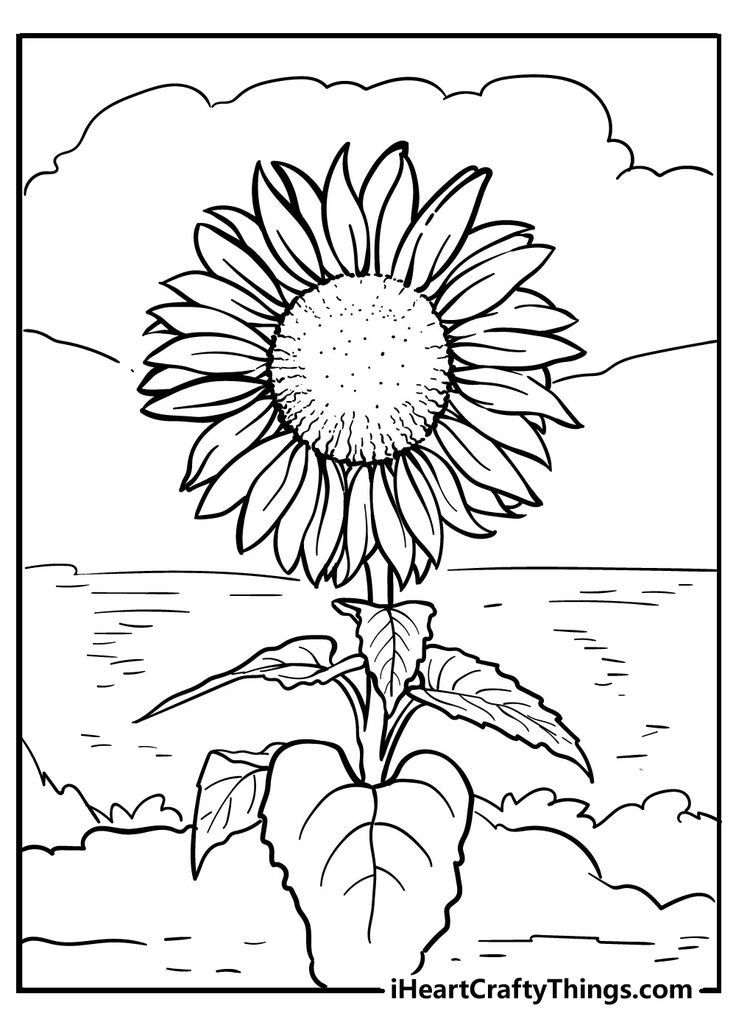 Printables sunflower coloring pages coloring pages flower coloring pages