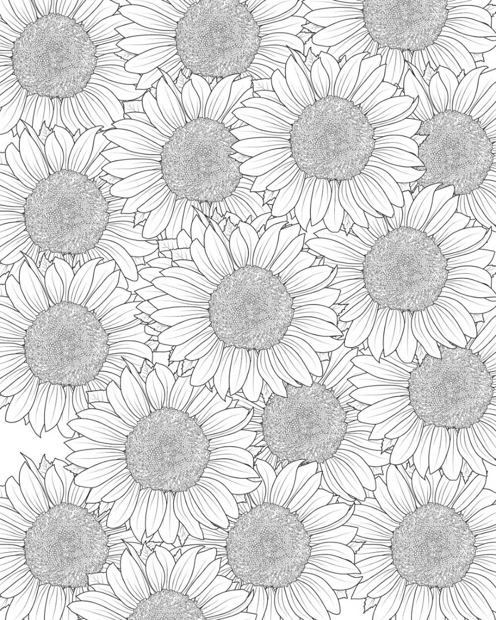 Free printable sunflower coloring page