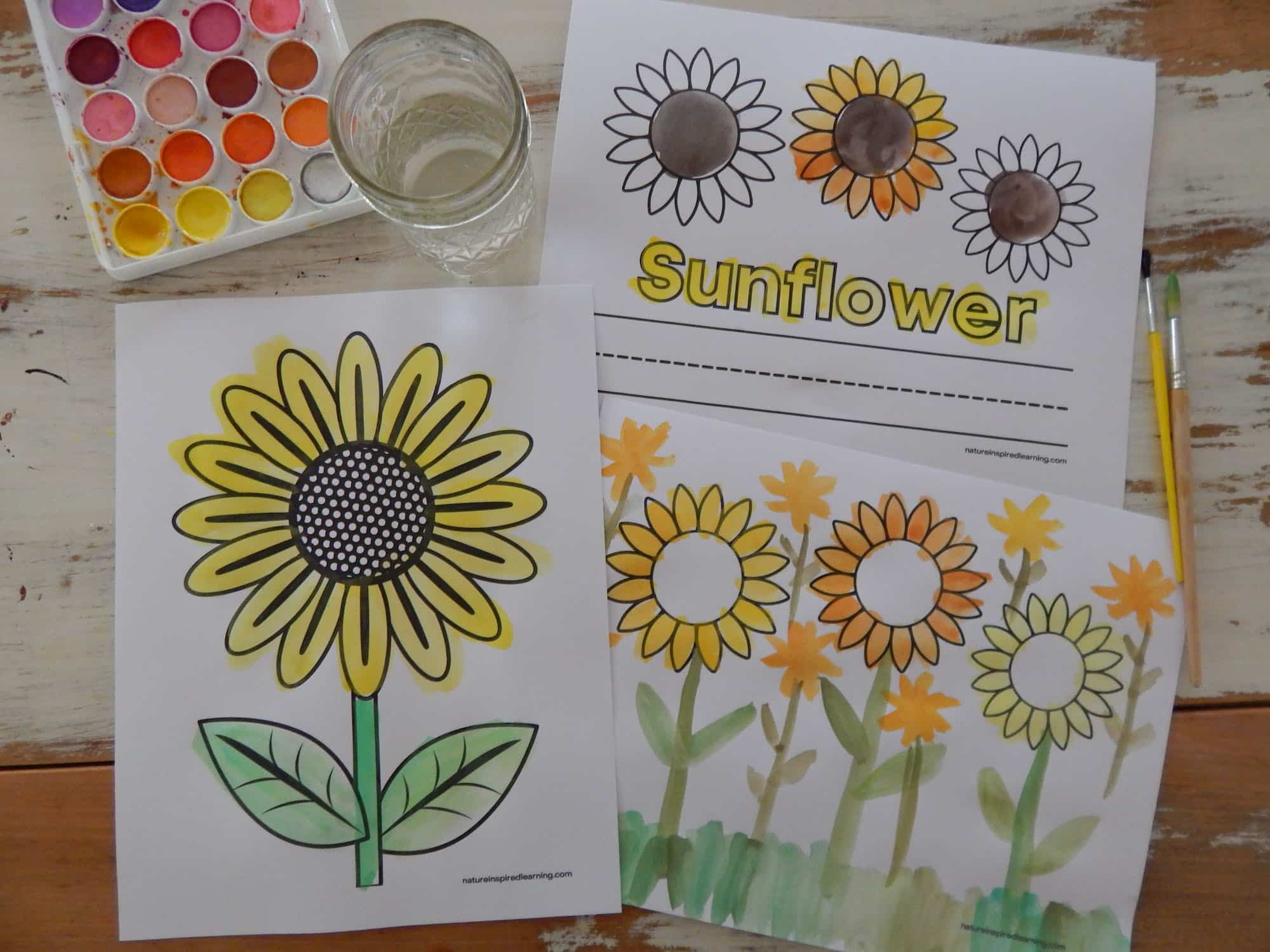 Sunflower coloring pages for kids