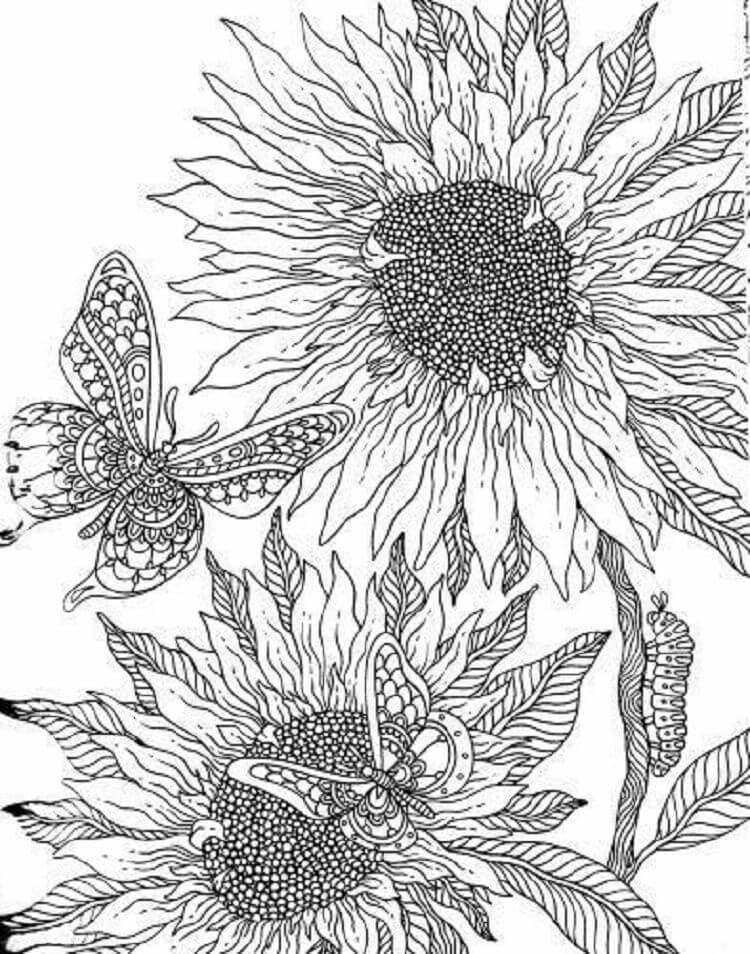 Butterfly with sunflower coloring page