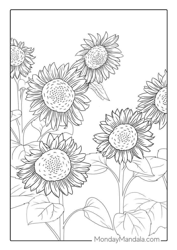 Sunflower coloring pages free pdf printables