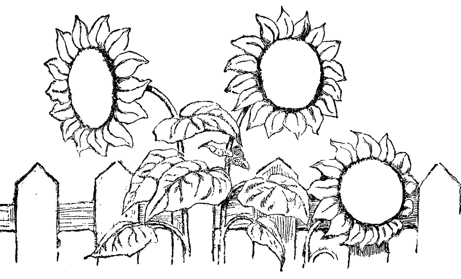 Free coloring pages printable sunflower coloring pages printable printable flower coloring pages sunflower coloring pages coloring pages