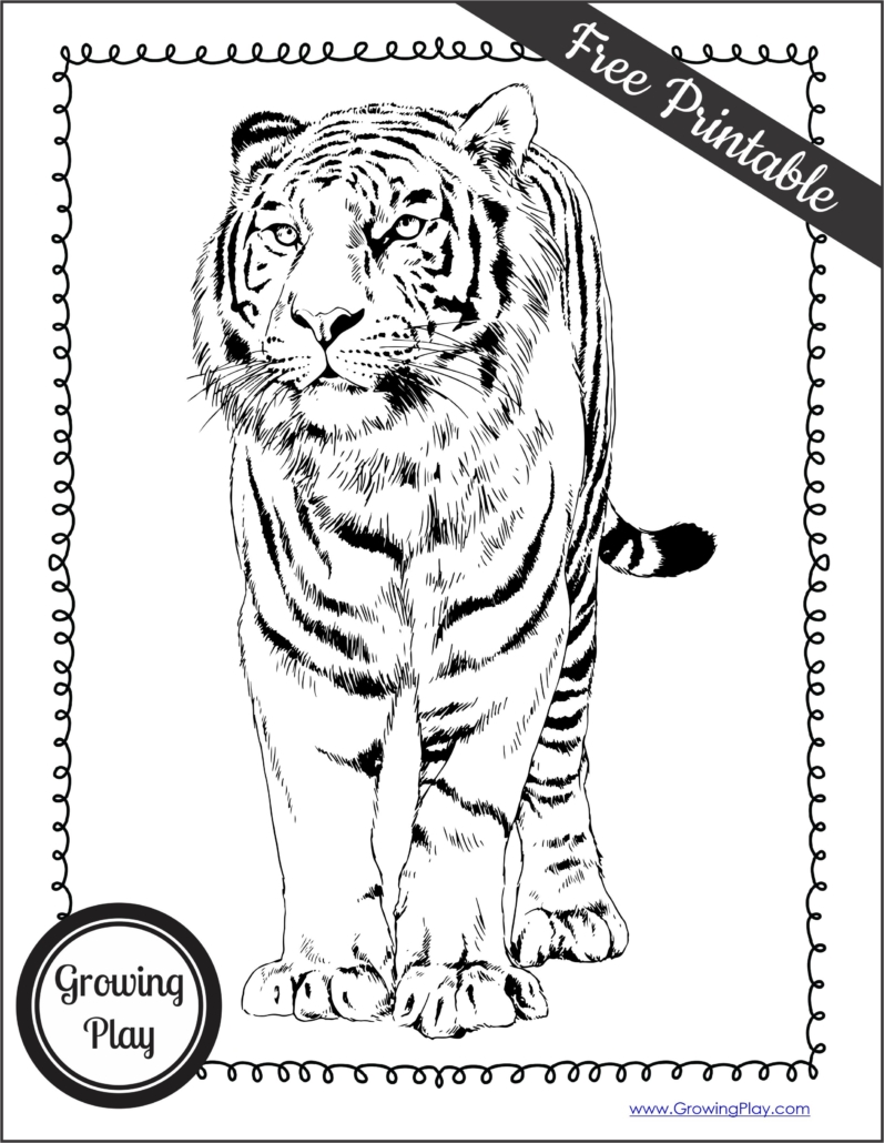 Tiger coloring pages