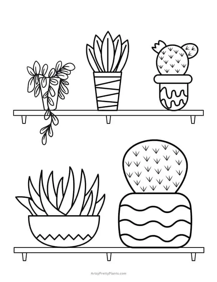 Free cactus coloring pages printable pdfs