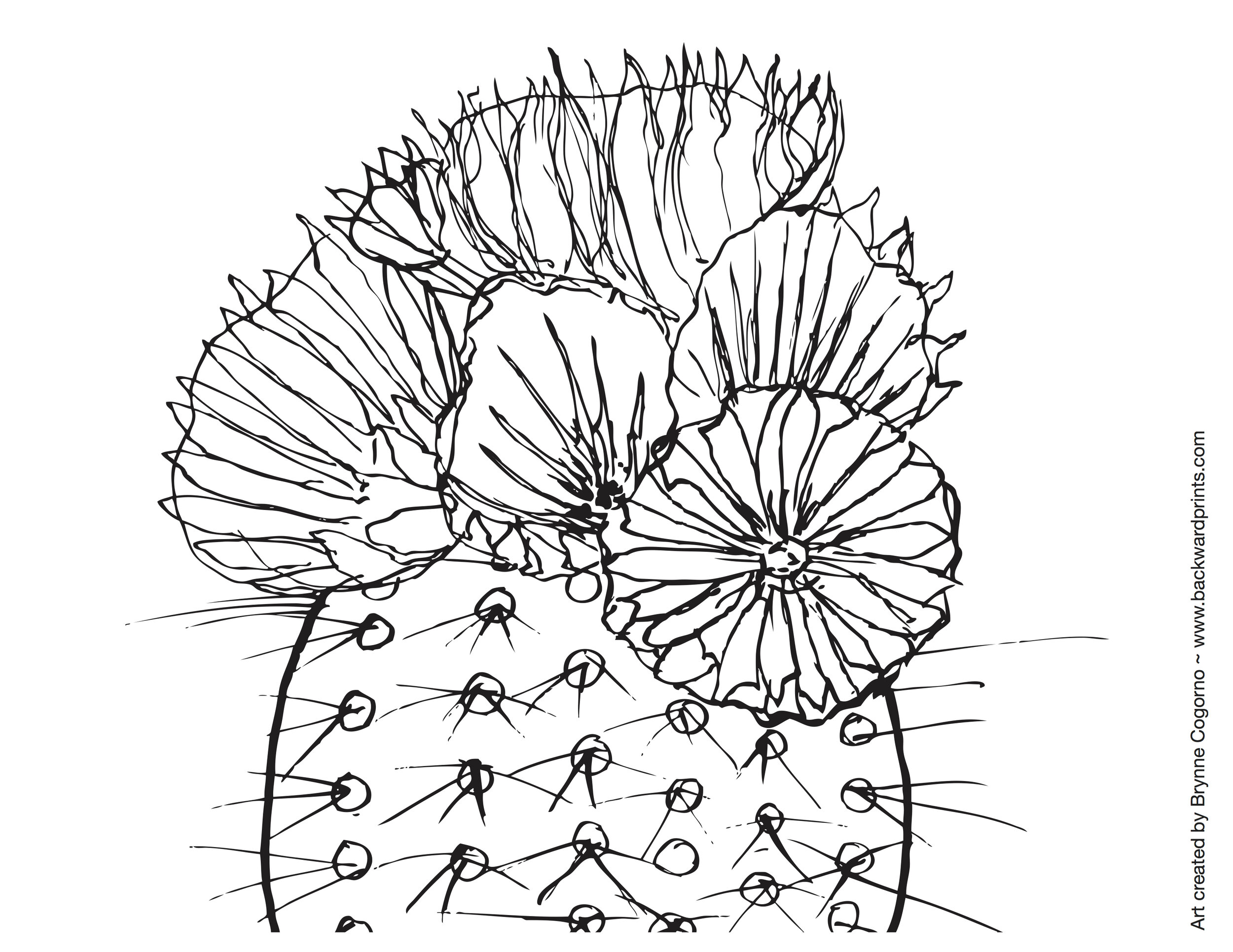 Cactus coloring page â blog â backward prints