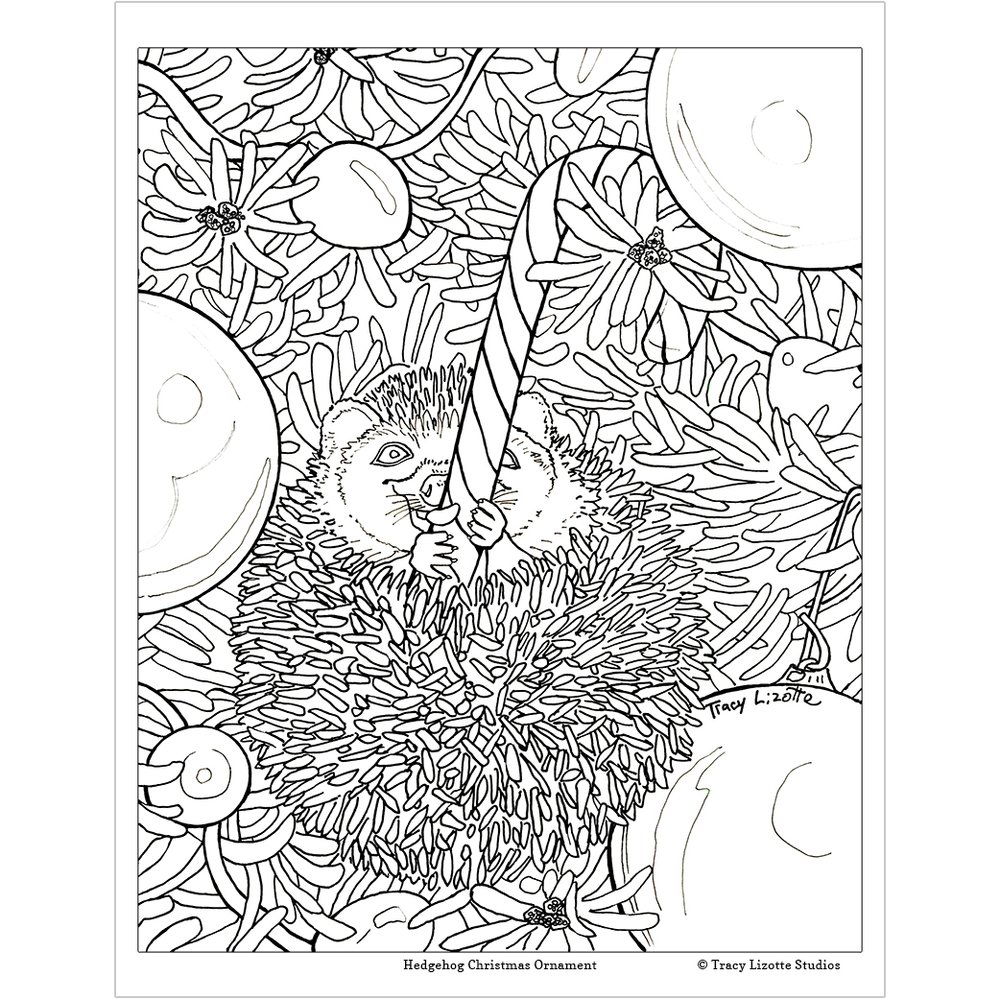 Christmas hedgehog printable card and coloring page â tracy lizotte studios