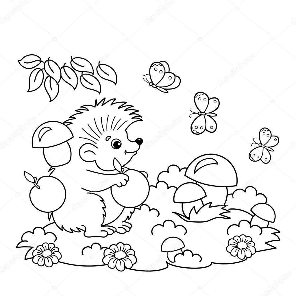 Coloring page outline of cartoon hedgehog with apples and mushrooms in the meadow with butterflies coloring book for kids stock vector by oleon