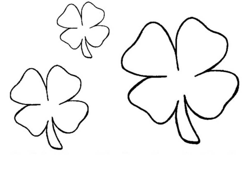 Shamrock coloring pages