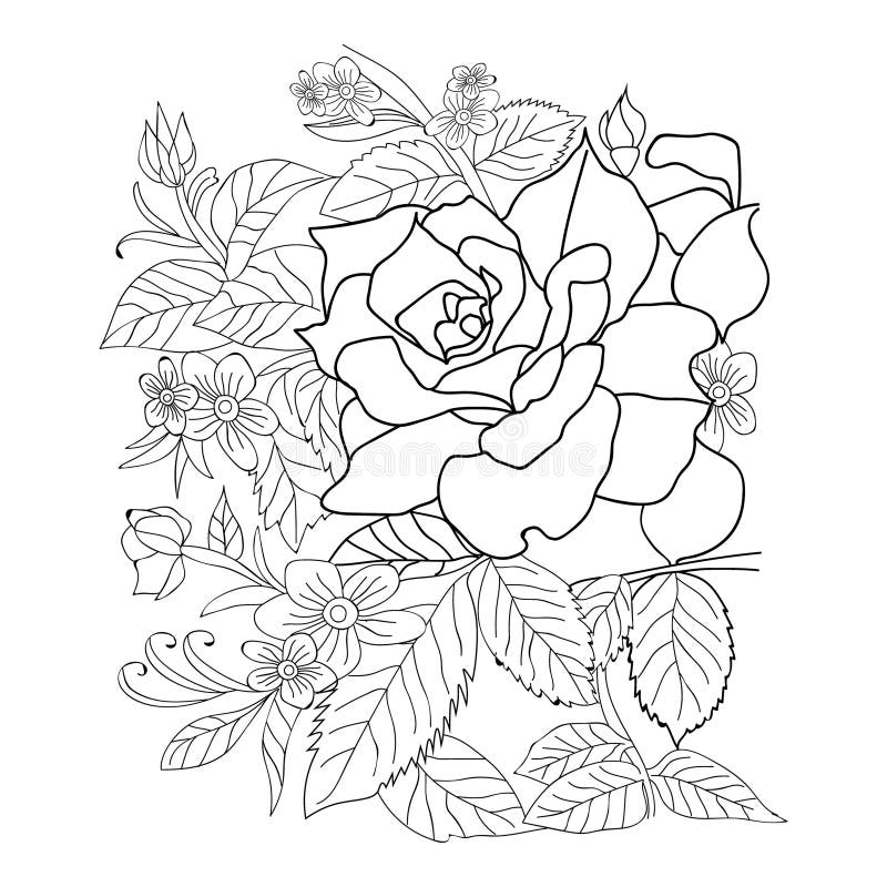 Rose flower bouquet drawing outline rose drawing creative rose floewr coloring pages for adults stock vector