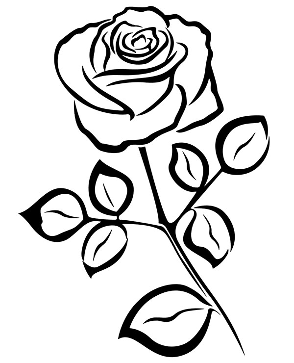 Rose relaxing coloring page sheet tattoo project