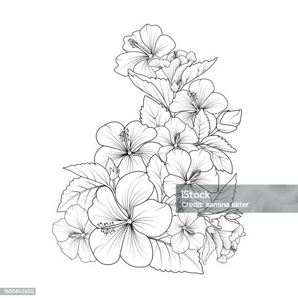 Detailed flower coloring pages printable linework hawaiian hibiscus flower tattoo drawing topicial flower hibisccus coloring pages