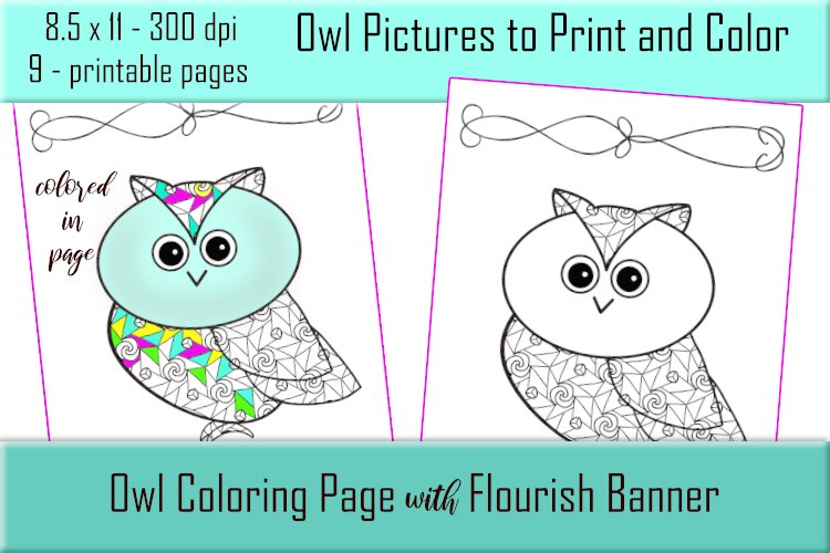 Cute owl coloring pages