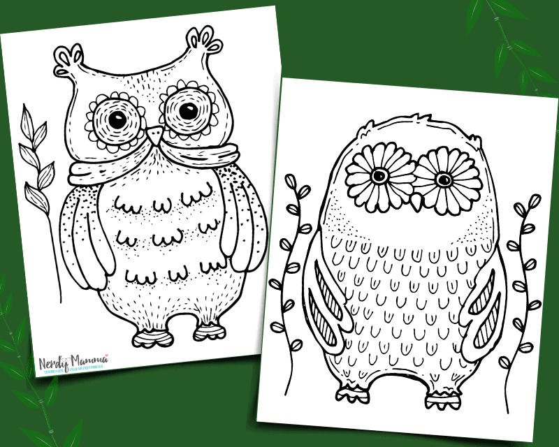 Owl coloring pages