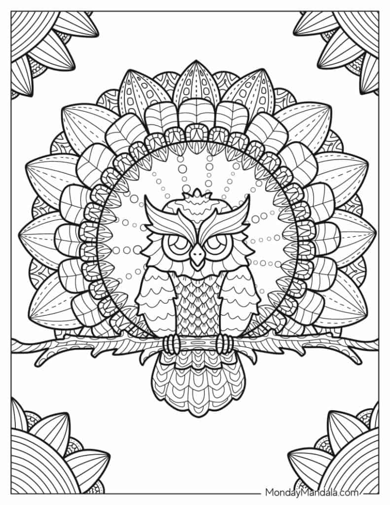 Owl coloring pages free pdf printables