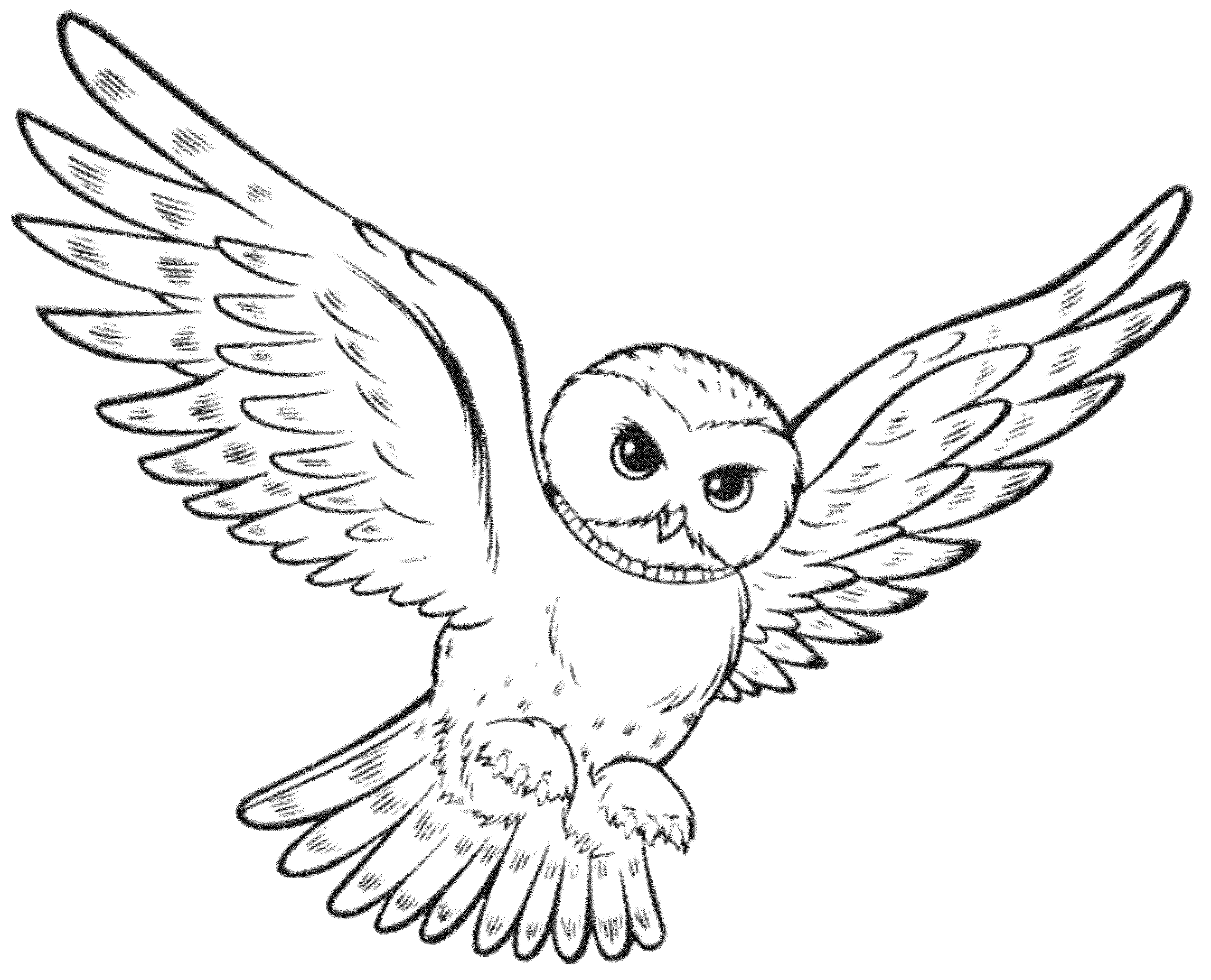 Owl coloring pages pdf download