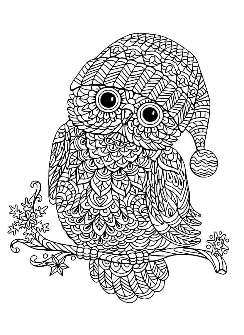 Owl coloring pages for adults