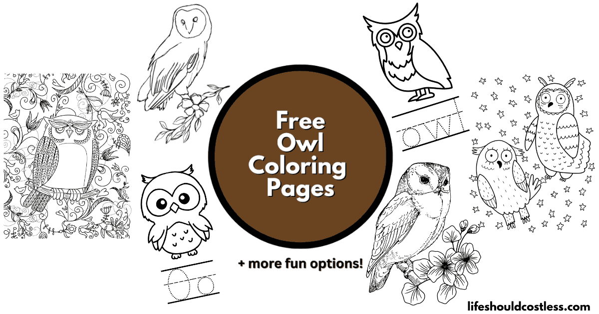 Owl coloring pages free printable pdf templates