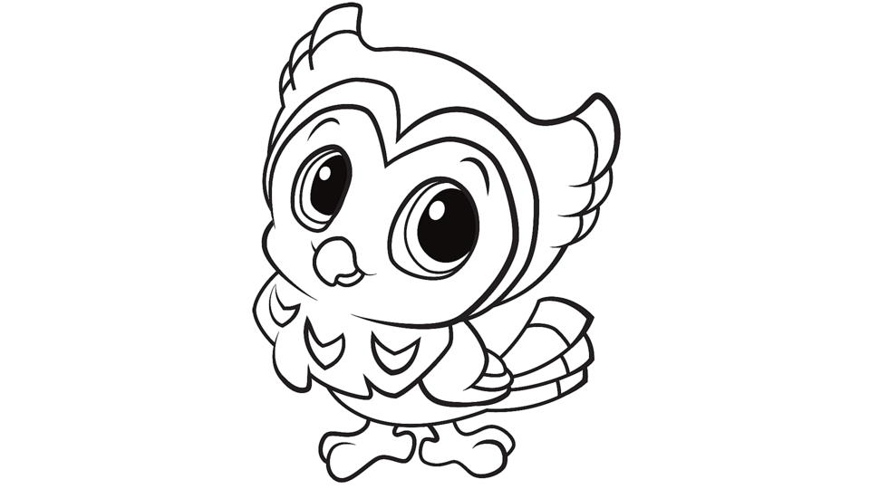 Learning friends owl coloring printable