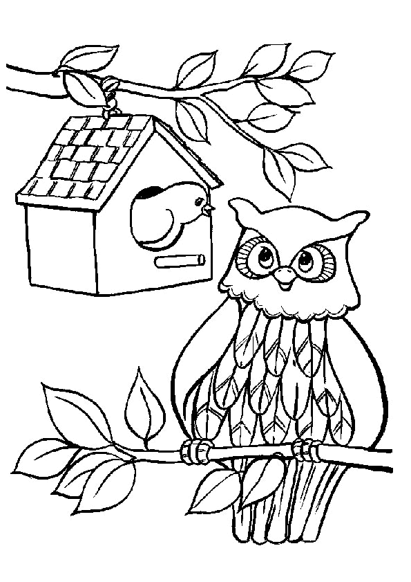 Owl coloring pages to print