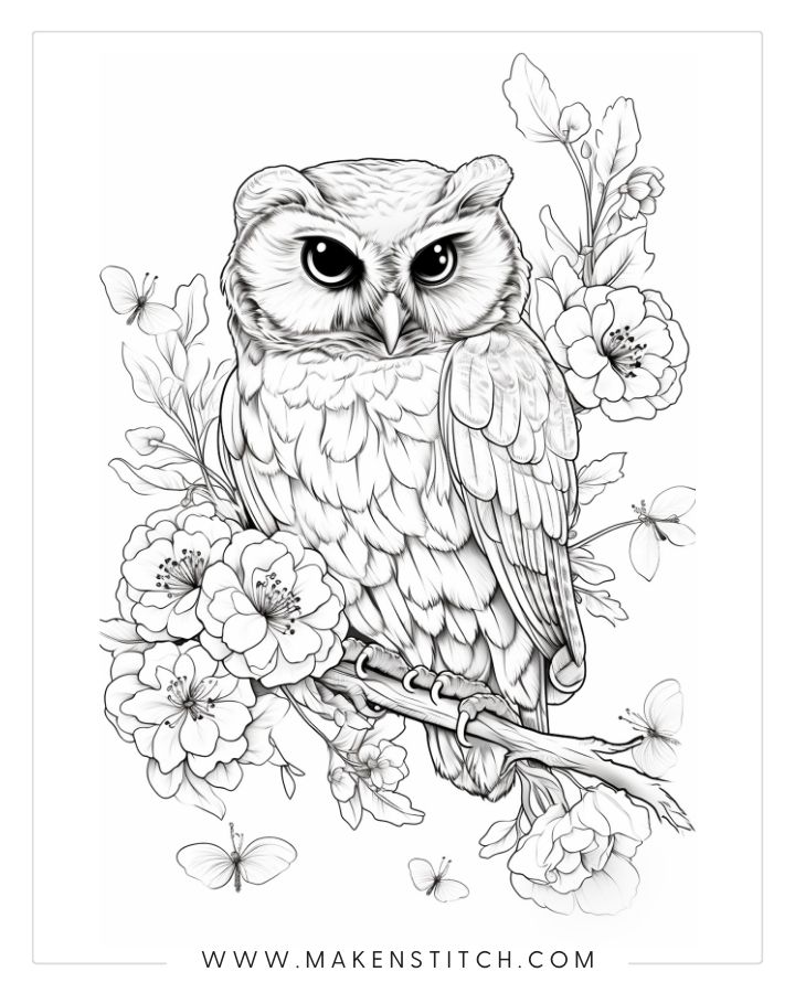 Owls coloring pages for kids and adults