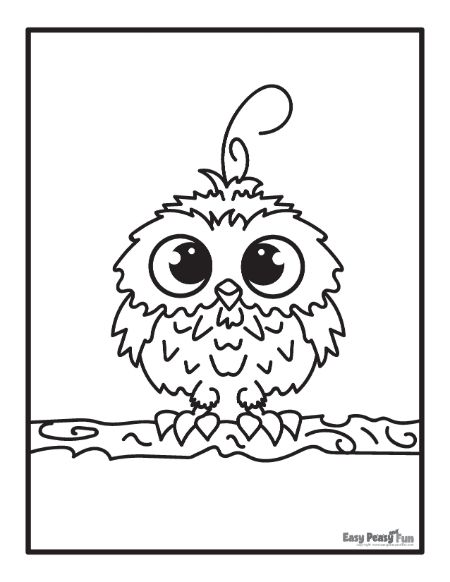 Owl coloring pages â printable sheets