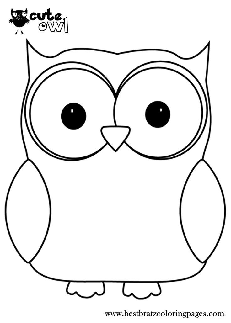 Cute owl template