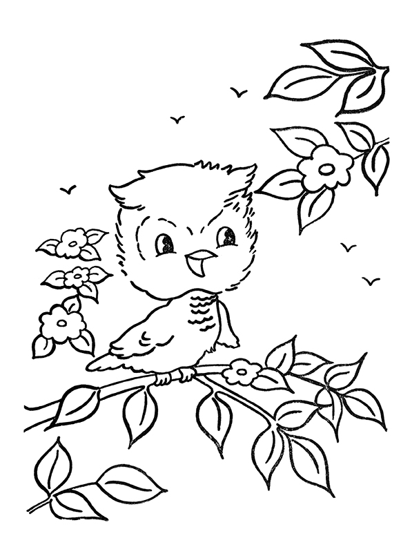 Owl coloring pages vintage style