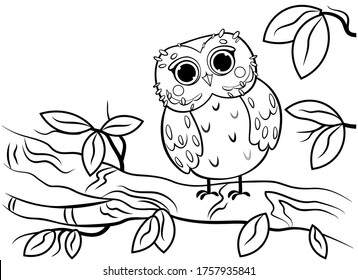 Owl coloring images stock photos d objects vectors