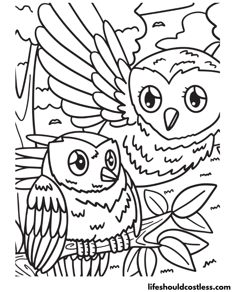 Owl coloring pages free printable pdf templates