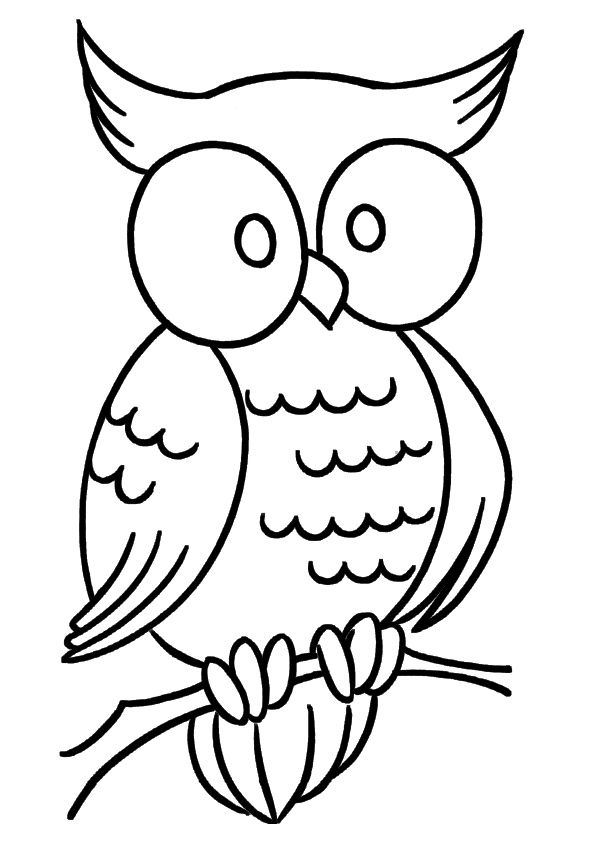 Halloween coloring page free coloring page template printing printable halloween coloring pages â owl coloring pages bird coloring pages dolphin coloring pages