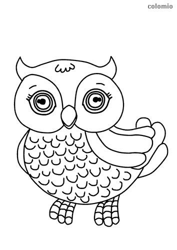 Owls coloring pages free printable owl coloring sheets