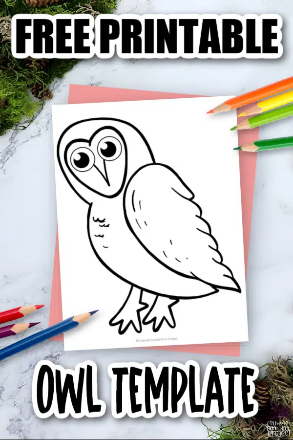 Free printable barn owl template â simple mom project