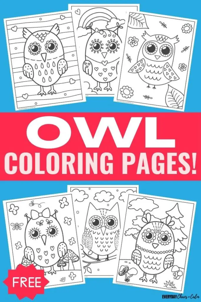 Cute owl coloring pages for kids