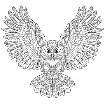 Owl coloring pages images â browse photos vectors and video