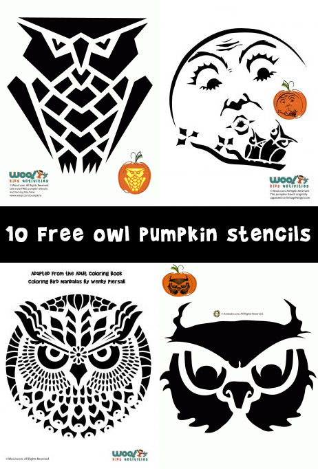 Owl pumpkin carving stencils woo jr kids activities childrens publishing