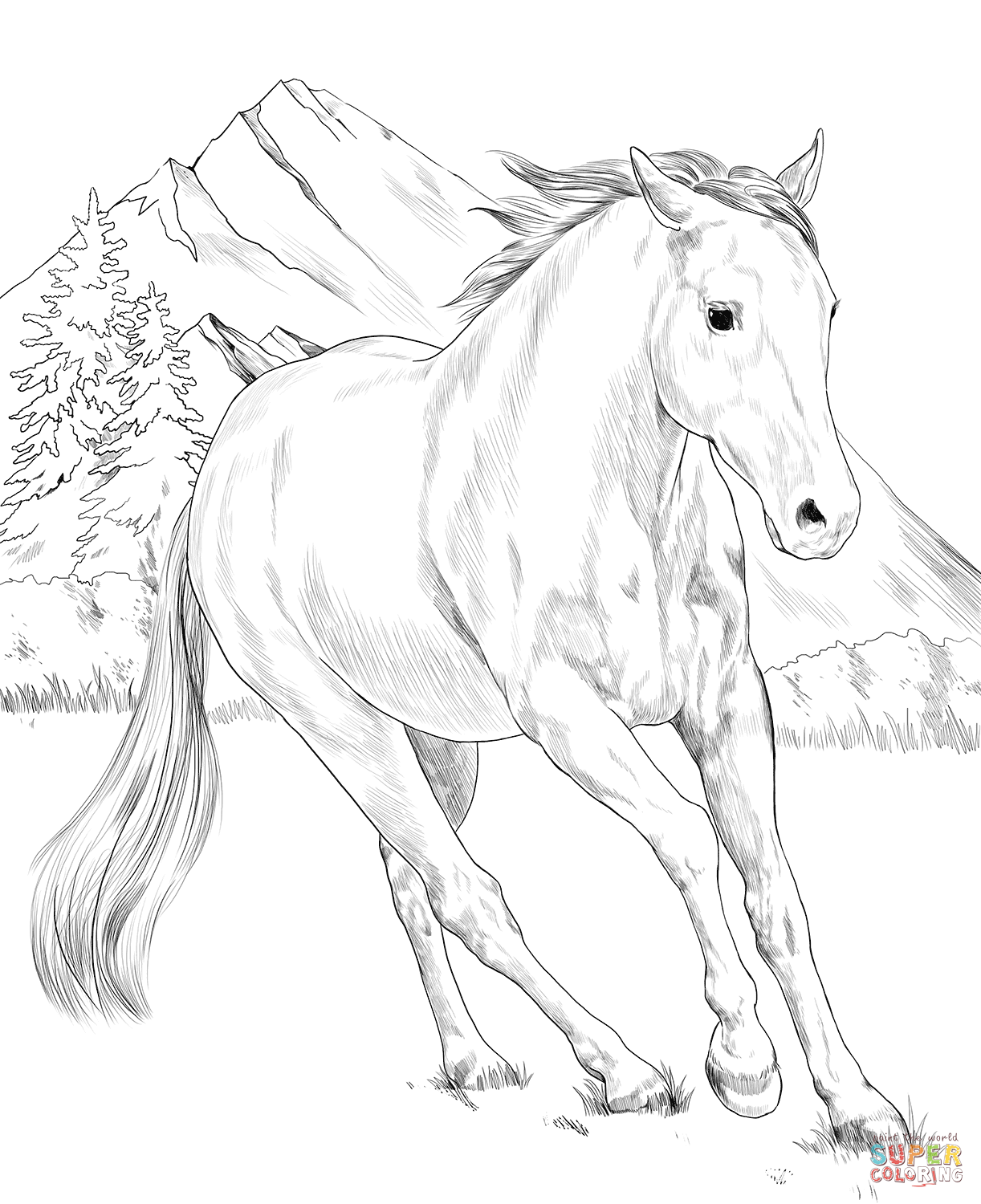 American paint horse coloring page free printable coloring pages