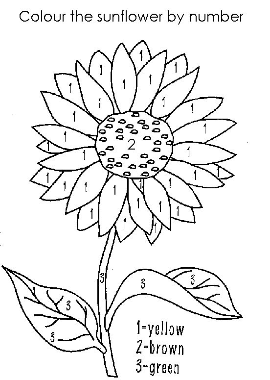 Printable paint by numbers for kids sunflower coloring pages flower coloring pages coloring pages