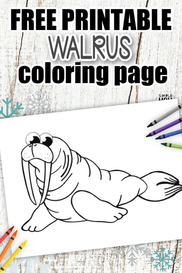 Free printable walrus template â simple mom project