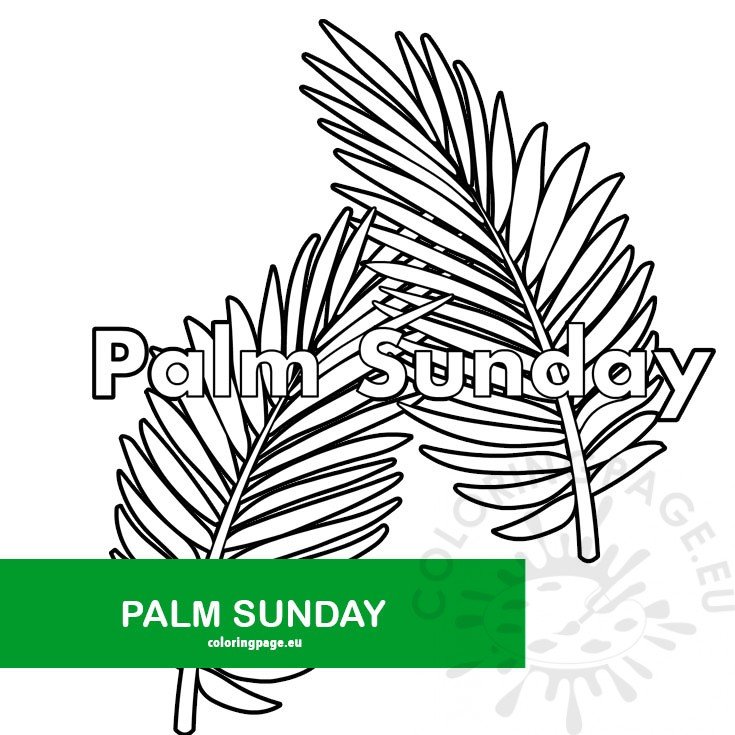 Free palm sunday palm branch template coloring page