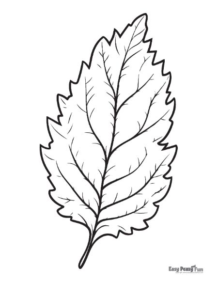 Printable leaf coloring pages â sheets