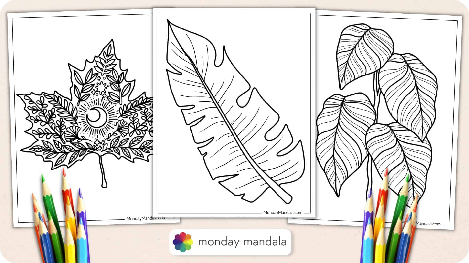 Leaf coloring pages free pdf printables