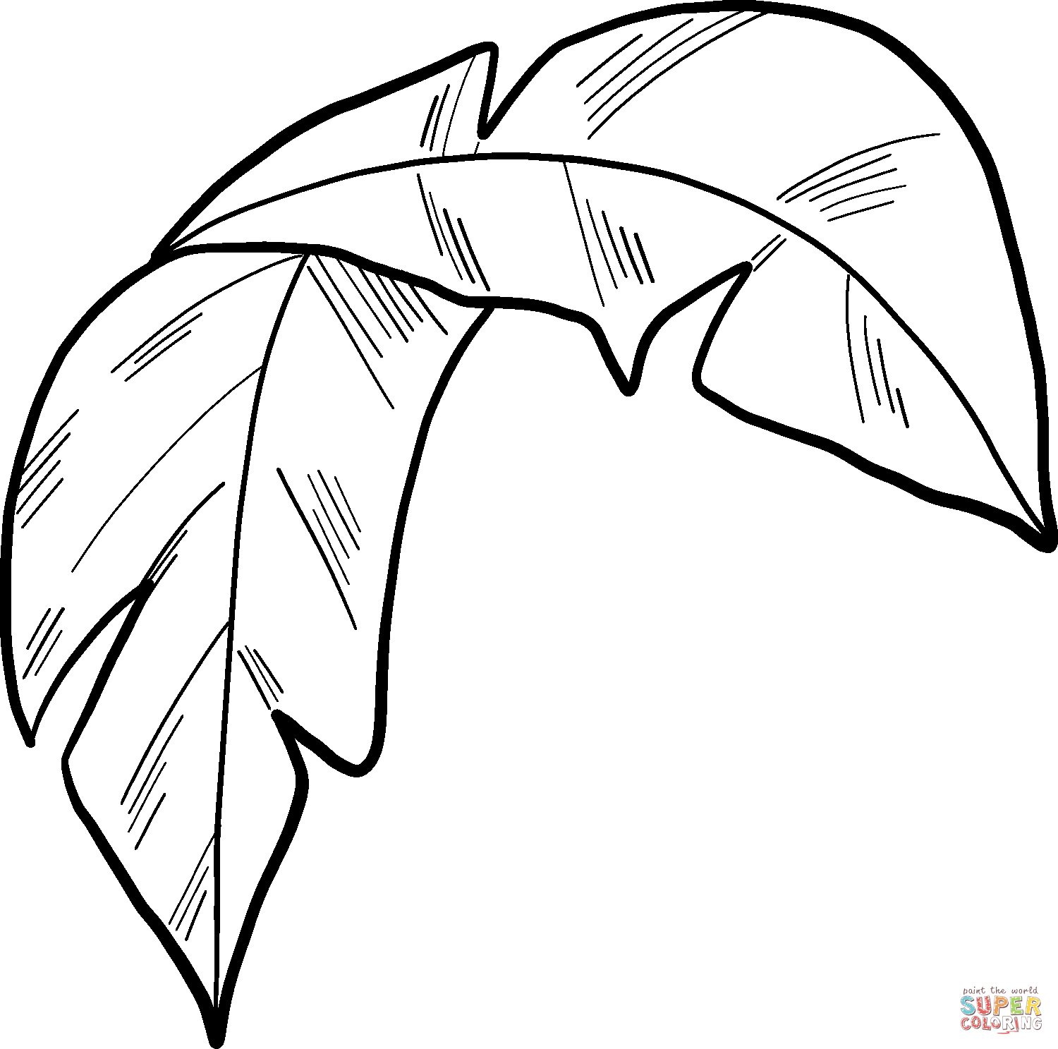 Palm leaf coloring page free printable coloring pages