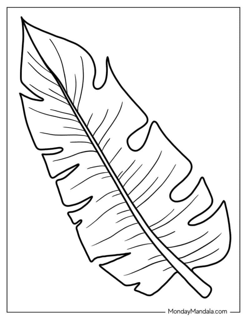 Leaf coloring pages free pdf printables