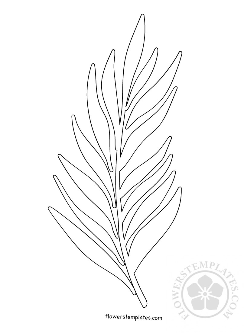 Palm branch template palm sunday