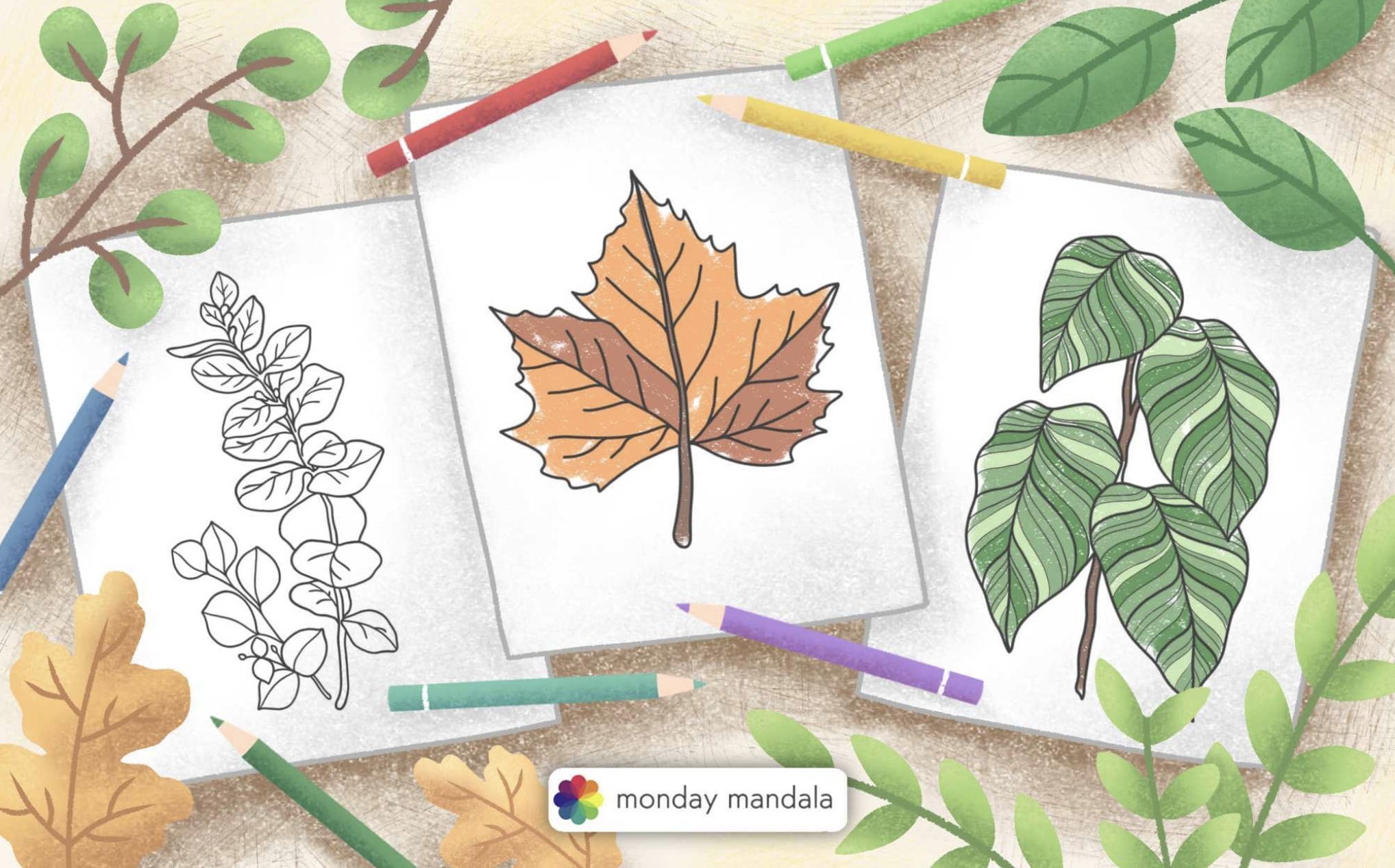 Leaf coloring pages free pdf printables