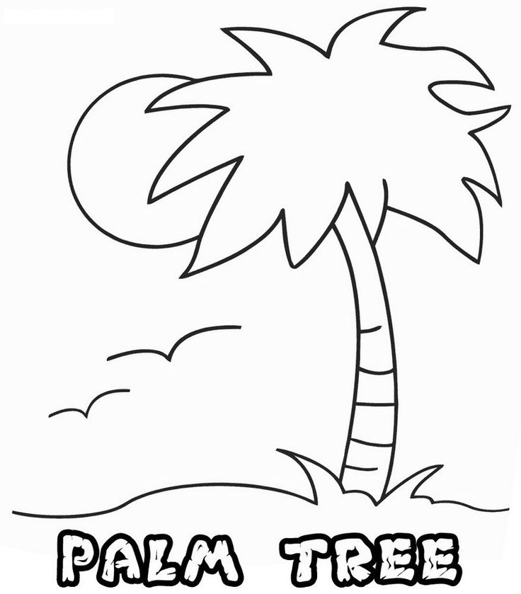 Palm tree coloring pages tropical paradise tree coloring page leaf coloring page coloring pages