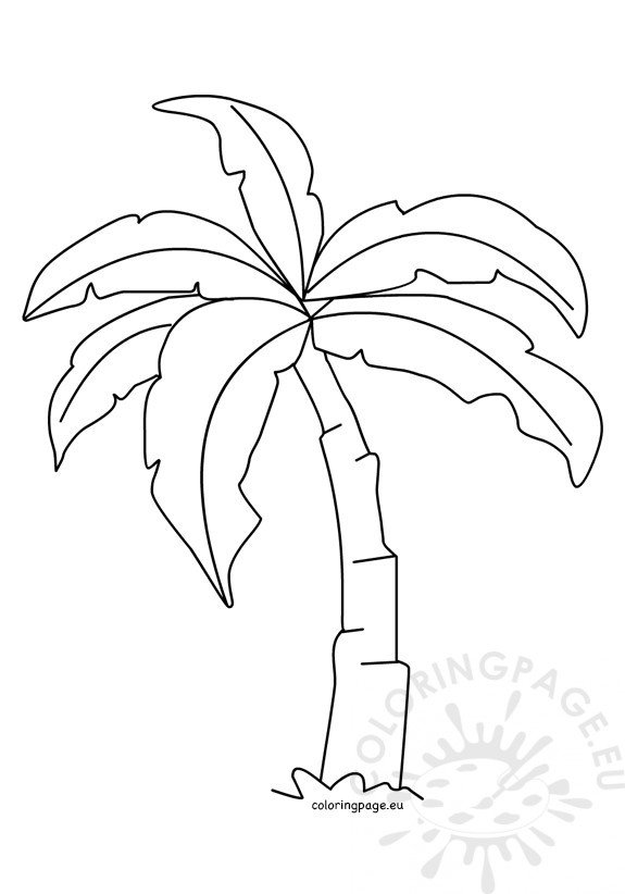 Tropical palm tree template coloring page