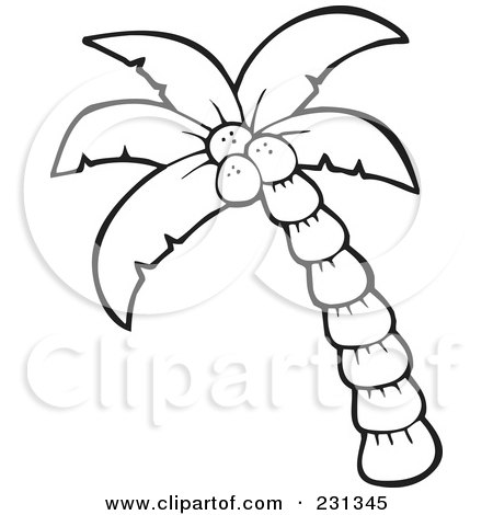 Coloring page outline of a palm tree posters art prints by