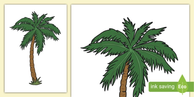 Palm tree template summer displays teacher made