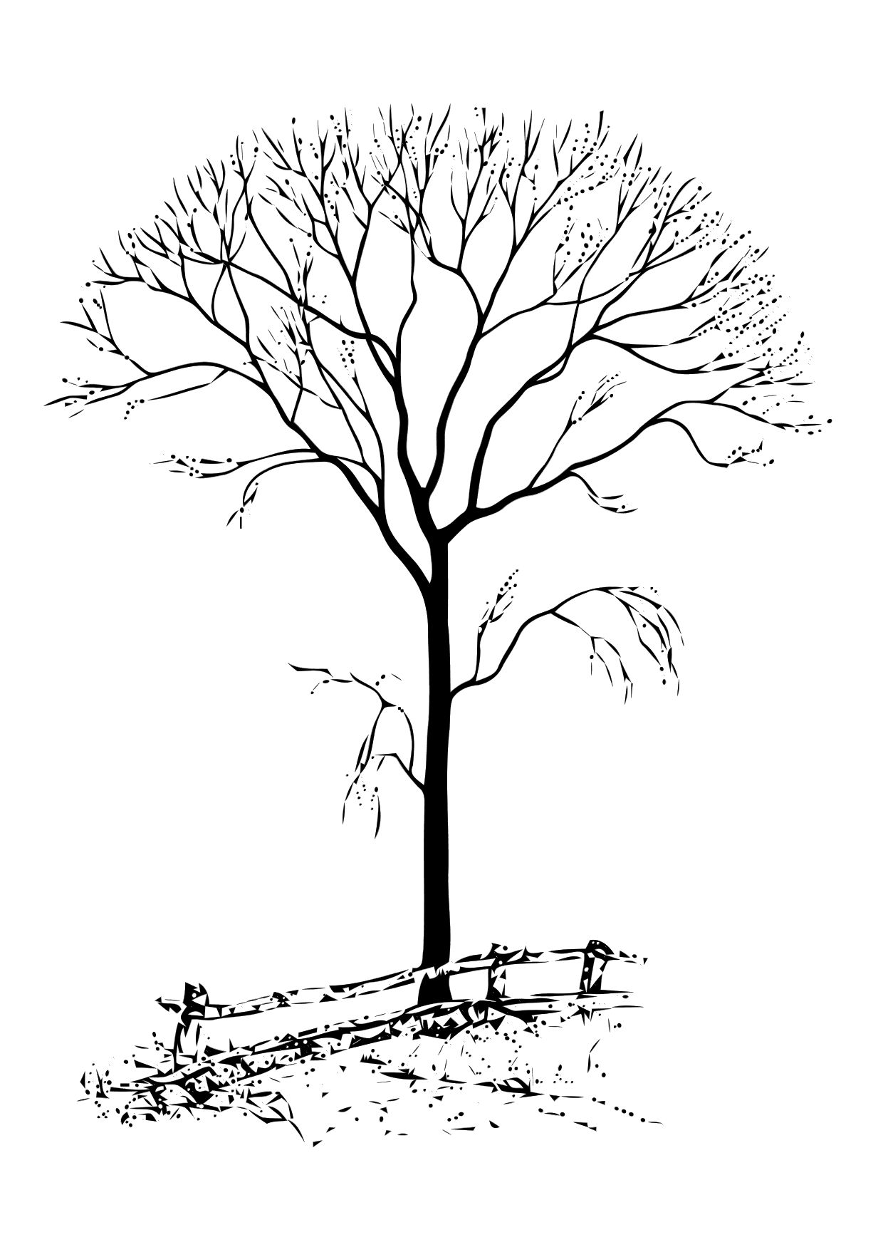 Free printable tree coloring pages for kids